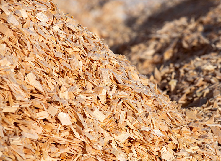 Businesses: Wood Chips for Paper Products and More